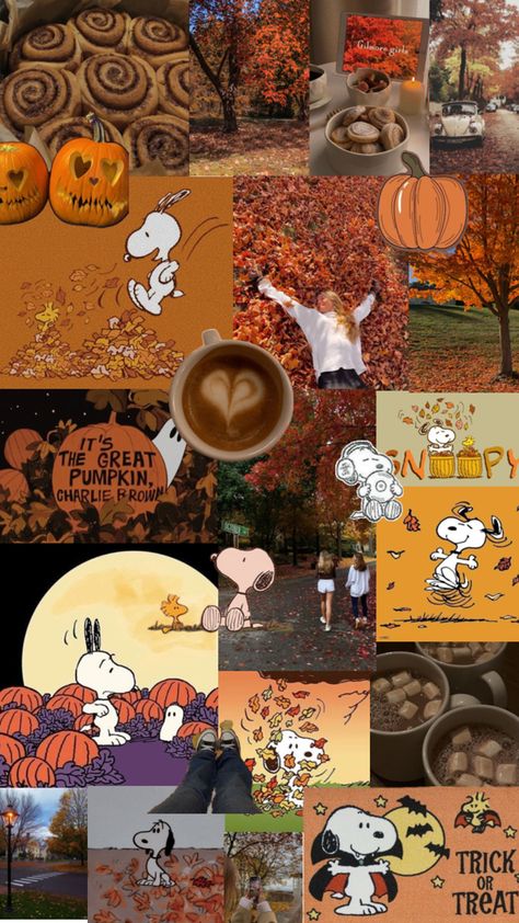 Peanuts Fall, Snoopy Fall, Peanuts Wallpaper, Fall Backgrounds Iphone, Autumn Phone Wallpaper, Cute Snoopy, Halloween Wallpaper Iphone Backgrounds, Halloween Wallpaper Cute, Im Obsessed