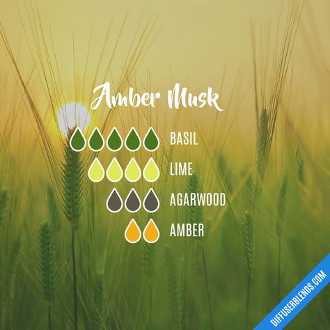 Amber Musk | DiffuserBlends.com Musk Essential Oil, Amber Essential Oil, Essential Oil Combinations, Doterra Essential Oils Recipes, Essential Oil Diffuser Blends Recipes, Yl Oils, Essential Oils Herbs, Essential Oils Health, Essential Oil Diffuser Recipes