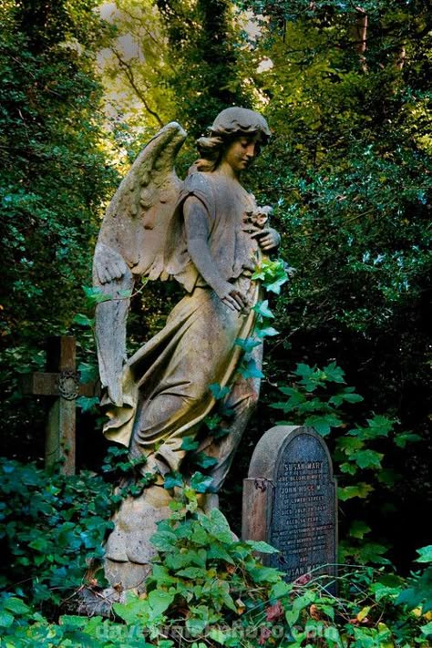 Angel Statue, Highgate Cemetery Cemetary Statue, Highgate Cemetery London, Grave Statues, Cemetery Angels, Highgate Cemetery, Cemetery Statues, Angel Statue, Angel Sculpture, Old Cemeteries