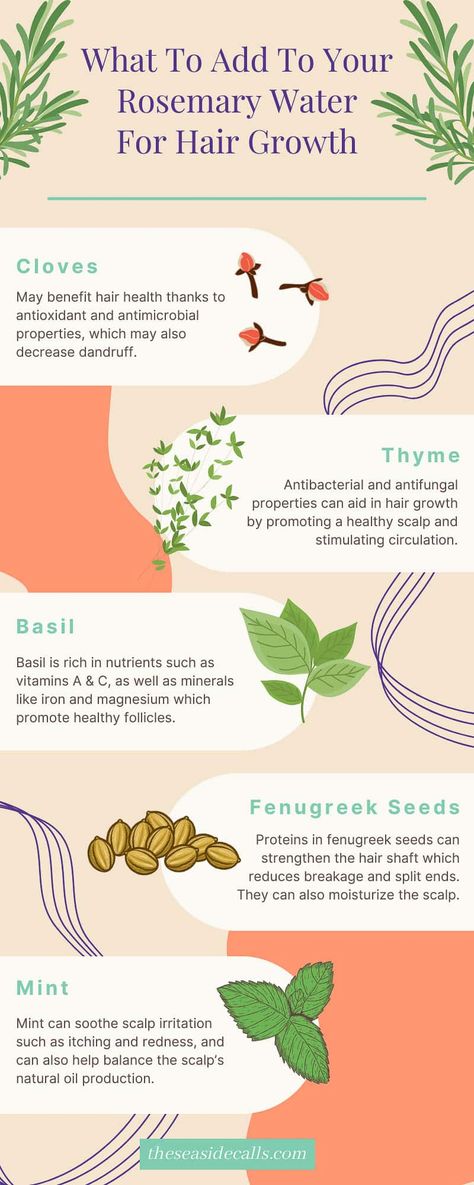 infographic showing best herbs to include in rosemary water for hair growth (cloves, thyme, basil, fenugreek, mint) Thyme Water For Hair Growth, Rosemary Recipes For Hair, Rosemary Clove Water For Hair Growth, How To Make Rosemary Water For Hair, Fenugreek Water For Hair Growth, Clove Water For Hair Growth, Rosemary Care, Cloves For Hair Growth, Hair Growth Tea