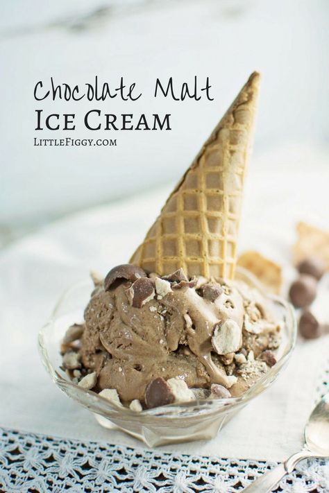 Chocolate Malt Ice Cream, Malted Ice Cream, Chocolate Malted Crunch Ice Cream, Chocolate Malt Ice Cream Recipe, Malt Ice Cream Recipe, Malt Ice Cream, Pudding Ice Cream Recipe, Fudge Popsicles, Malted Milk Powder