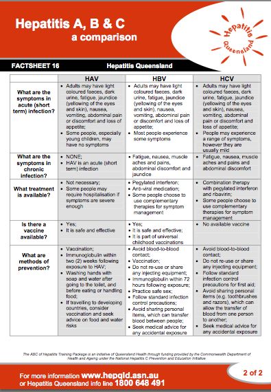 Endocrine System Nursing, Hep C, Hep B, Cranial Nerves Mnemonic, Nursing Classes, Medical Ultrasound, Urinary System, Ob Nursing, Pharmacology Nursing