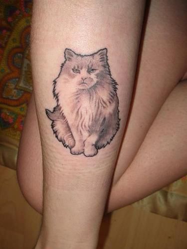 Cute Tattoo Cat Persian Cat Tattoo, Cat Eye Tattoos, Egyptian Cat Tattoos, Kitten Tattoo, Big Cat Tattoo, Cute Cat Tattoo, Black Cat Tattoos, Wicked Tattoos, Cat Tat