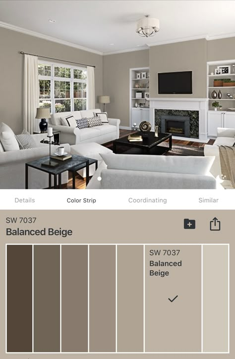 Taupe Interior Design Living Rooms, Wall Colors For Living Room 2023, Taupe Bedroom Paint Colors, Living Room Designs Paint Colors, Beige And Grey Living Room Ideas, Taupe Living Room Ideas, Taupe Walls Living Room, Warm Modern Living Room, Beige Living Room Walls