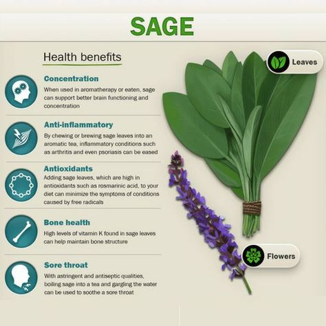 Benefits of herbs! Sage's health benefits Herb Companions, Sage Health Benefits, Antioxidants Benefits Skin, Benefits Of Herbs, Sage Benefits, Sage Tea, Medical Herbs, Herb Salad, Herbal Healing