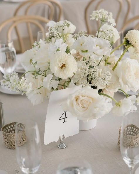 Disilvestro Napolitano 6.7.25 • Instagram Modern White Centerpiece Wedding, Wedding Flowers Table Arrangements, Simple White Flower Centerpieces, White Flower Table Arrangements, White Flower Arrangements Wedding, White Floral Centerpieces Wedding, All White Modern Wedding, White Table Centerpieces, White And Green Wedding Decor