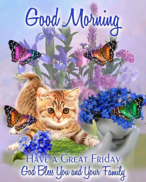 Friday Greetings, Blessed Morning, Friday Cat, Good Morning Cat, Friday Messages, Friday Pictures, Morning Friday, Have A Great Friday, Morning Cat