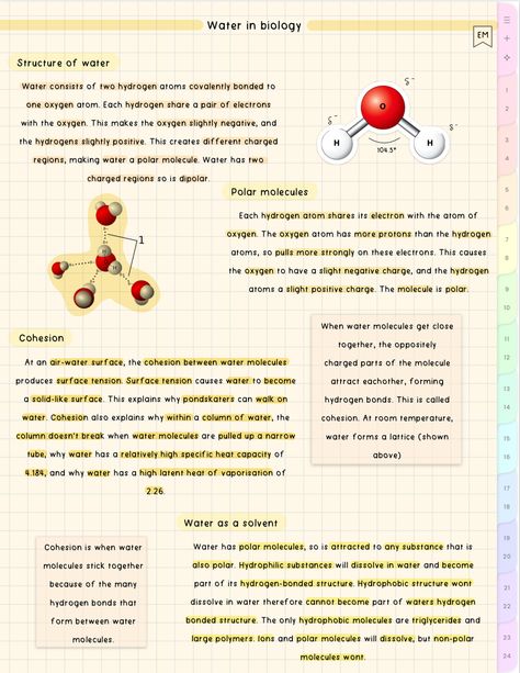 cute aesthetic biology notes Aesthetic Biology Notes, Aesthetic Biology, Bio Notes, Biology Worksheet, Hydrogen Atom, Making Water, Structured Water, Aesthetic School, Biology Notes