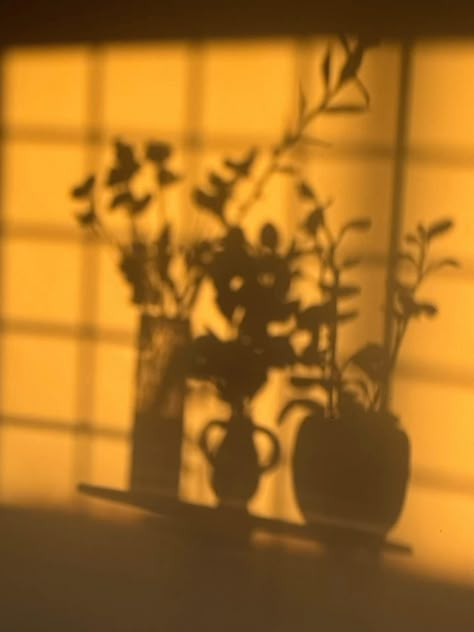 #shadowandlight #shadow #shadowphotography #windowshadow #window #shadowandlightphotography Shadows And Silhouettes, Creative Shadow Photography, Spotlight Aesthetic, Shadow Photography Ideas, Shade Photography, Spotify Theme, Photography Shadows, Shadow Person, Shadows Aesthetic