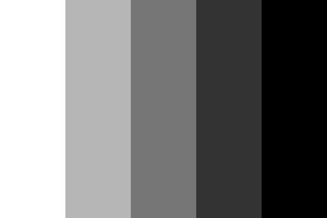 White To Black Different Shades Of Black, Black Grey Ombre, Noir Color, Create Color Palette, Black Color Palette, Grey Color Palette, Theme Color, Gray Stripes, Color Palette Design