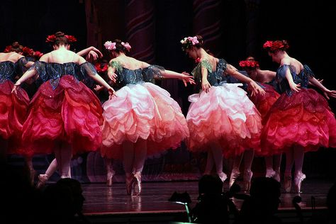 Waltz of the Flowers from The Nutcracker, Maine State Ballet. Photo by klickthis on Flickr. Beatiful Aesthetic, Waltz Of The Flowers, Nutcracker Costumes, Maine State, Ballet Beauty, Ballet Inspiration, Tutu Skirts, Classical Dance, Ballet Photos