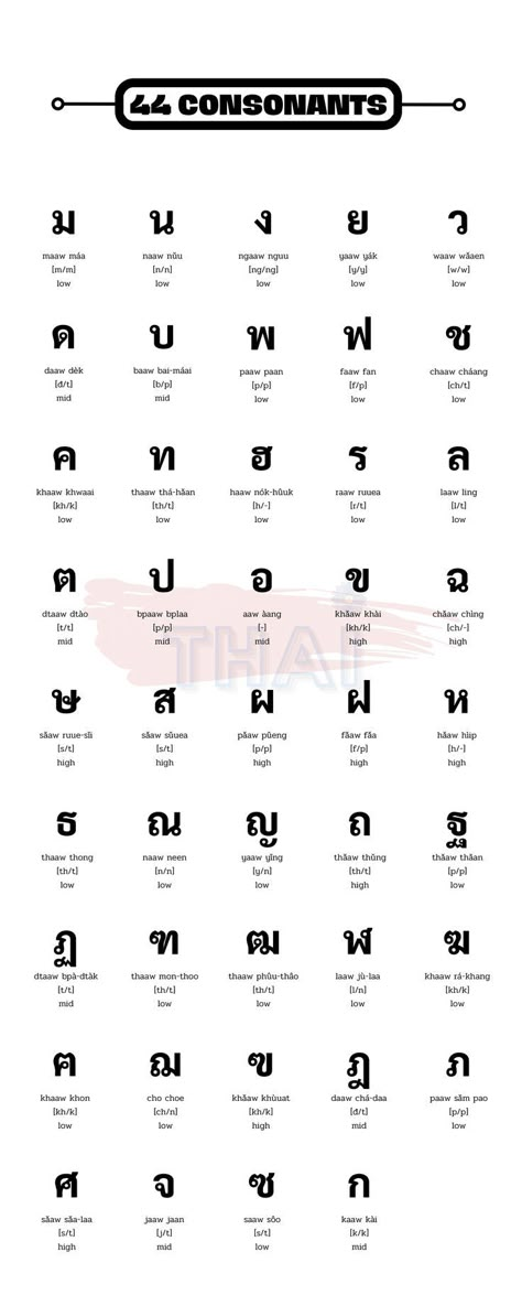 Thai Consonants, Thai Learning, Thai Phrases, Thailand Language, Thai Alphabet, Learn Thai Language, Thai Words, Learn Thai, Alphabet Code