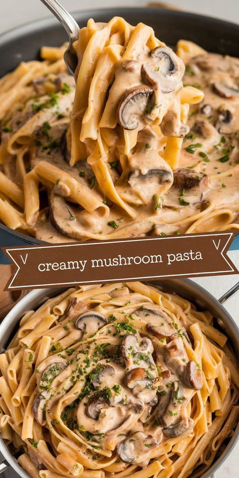 Easy Creamy Mushroom Pasta – This easy creamy mushroom pasta is perfect for a quick, delicious dinner! With tender pasta and a creamy mushroom sauce, it’s a cozy meal ready in 30 minutes. Chorizo Mushroom Pasta, Baked Mushroom Pasta, Mushroom Soup Pasta Sauce, Simple Mushroom Pasta, Mushroom And Cream Pasta, Cheesy Mushroom Pasta, Veal Pasta Recipes, Easy Creamy Mushroom Pasta, Creamy Pasta Vegetarian