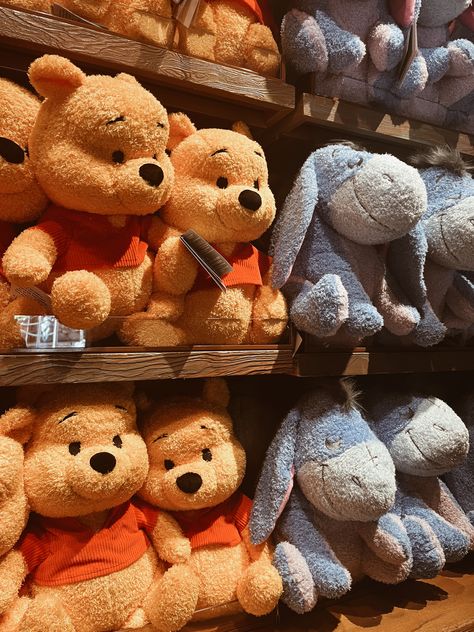 Disney Stuffed Animals Aesthetic, Disneyland Merch, Disney Plushies, Disney Stuffed Animals, Disney Cuties, Disney Merch, Teddy Bear Pictures, Winnie The Pooh Friends, Disney Traditions