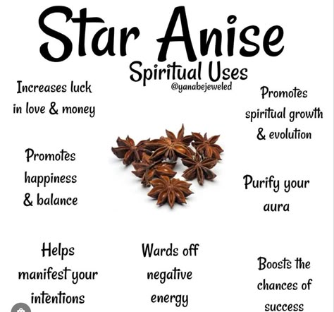 Anise Witchcraft, Magickal Herbs, Witch Herbs, Witch Rituals, Green Witchcraft, Wiccan Magic, Witch Spirituality, Magic Spell Book, Magic Herbs