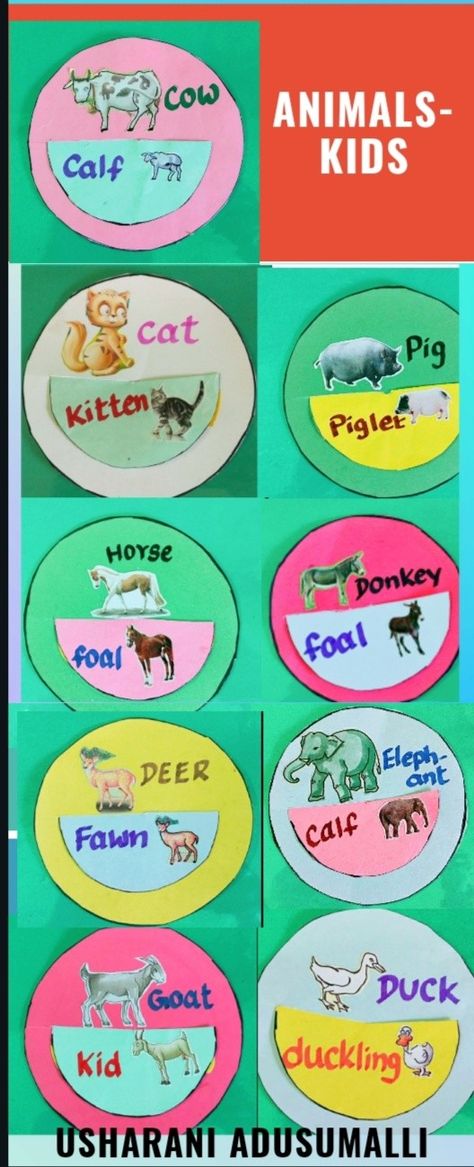 Babies Activities, Animals And Their Babies, Activity Based Learning, Goat Kidding, Science Toys, Infant Activities, Writing Skills, Baby Animals, Kittens