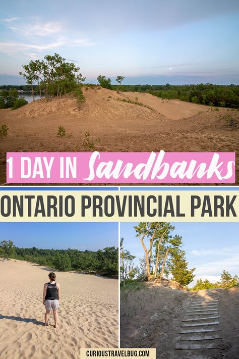 Southern Ontario's perfect day trip destination, Sandbanks Provincial Park in gorgeous Prince Edward County. This is the perfect day trip if you are looking for a sandy beach destination in Ontario with great hiking trails and lots of yummy food and wineries in the county. Ontario Camping, Ontario Provincial Parks, Tobermory Ontario, Ontario Photography, Ontario Road Trip, Wasaga Beach, Ontario Travel, China Pottery, Prince Edward County