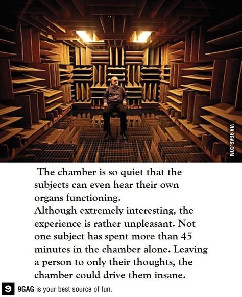 The world’s quietest room Anechoic Chamber, Sensory Deprivation, Quiet Room, Hodge Podge, Fascinating Facts, Sound Proofing, Interesting Stuff, Interesting Facts, Minnesota