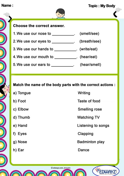 Class Ukg Science Worksheet, E V S Worksheet For Class 2, English Homework For Class 1, Class 3 Science Worksheets, Ukg Class Evs Worksheet, Class 1 Evs Worksheets, Evs Worksheets For Grade 2, Science Worksheets For Grade 1, Evs Worksheet For Class 1