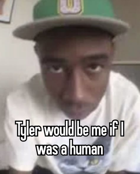 Tyler the creator, Whisper Tyler The Creator Pfp Hello Kitty, Mad Tyler The Creator, Sims 4 Cc Tyler The Creator, Tyler The Creator Reaction Pics, Tyler The Creator Whisper, Tyler The Creator House, Tyler The Creator Cake, Tyler The Creator Tweets, Tyler Pfp