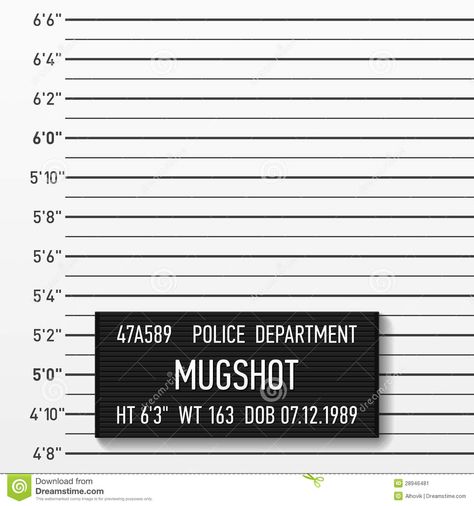 Police mugshot Stock Image Mugshot Template, Mugshot Background, Villains Party, Photo Booth Background, Jailhouse Rock, Mug Shot, Mystery Party, Vinyl Backdrops, Prison Break