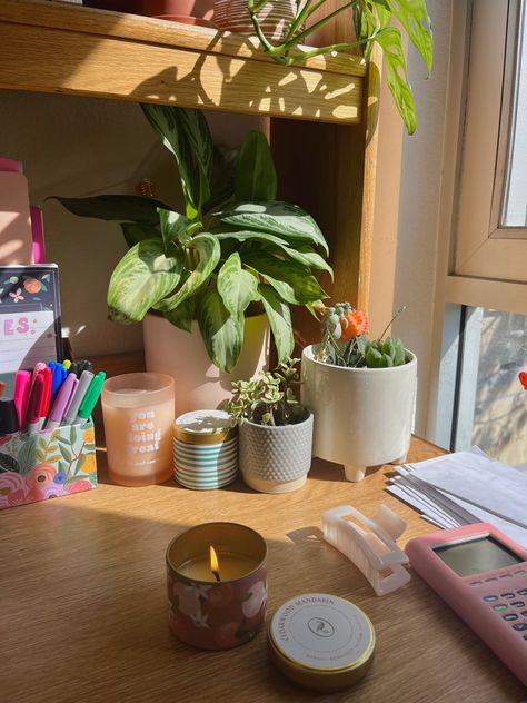 Wood desk with green plants and sunlight from a near by window Plants On Desk, Girl Rotting, Desk With Plants, Desk Organization Aesthetic, Dorm Plants, Dorm 2023, Dorm Desk Organization, Desk For Girls Room, Plant Desk