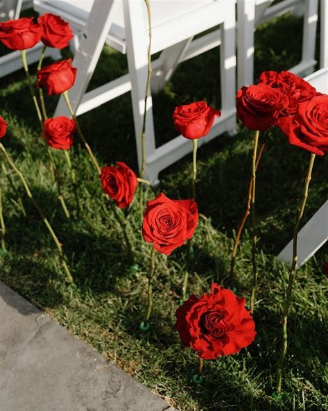 Happy Valentine’s Day❤️ The radiant red roses make a ceremony so impressive! Let the deep, rich hues of the red roses create a romantic and magical atmosphere, leaving a lasting impression on our guests. 🌹 #redroses #weddingflowers #overthemoon #brideandblossom #stylemepretty #nycwedding #nyweddingvenue #nycweddingplanner #luxurywedding #roses #weddingtheme #redweddingtheme #flowers #rosepetals #alinatoevents Red Roses Wedding Theme, Red Flowers Wedding, Adelaide Wedding, Nyc Luxury, Ny Wedding Venues, Red Wedding Theme, Red Rose Wedding, Red Wedding Flowers, Ottawa Wedding