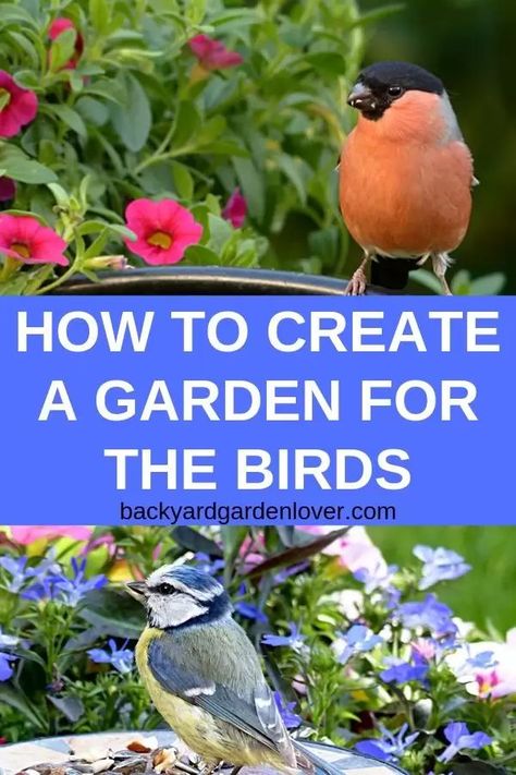 Wildlife Backyard, Backyard Birds Watching, Backyard Birds Sanctuary, For The Birds, Wildlife Gardening, Pollinator Garden, How To Attract Birds, Natural Garden, Backyard Birds