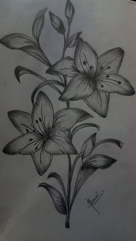 Lots Of Flowers Drawing, Realistic Flower Drawing Pencil, Realistic Flower Drawing, Easy Graffiti, Flowers Sketch, Easy Graffiti Drawings, Chicano Drawings, Flower Art Drawing, Meaningful Drawings