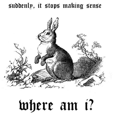 Where Am I, Watership Down, Alice Madness, Lose My Mind, The Words, Alice In Wonderland, Poetry, Feelings, Memes