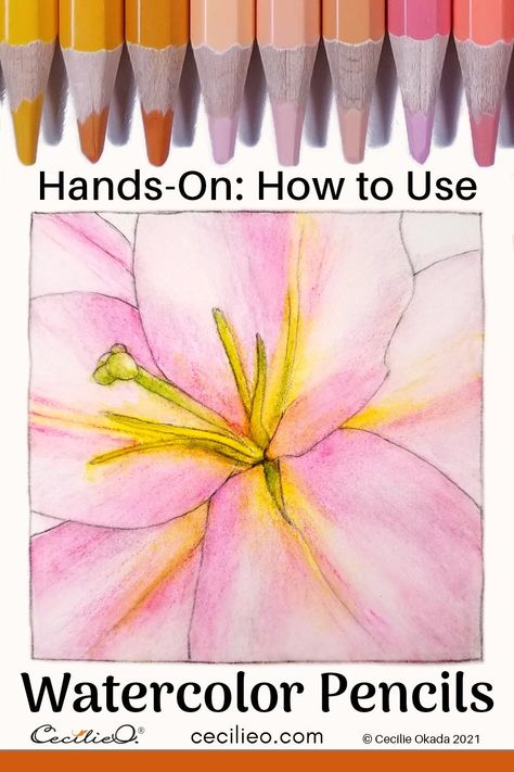 In this tutorial, I show you how to use watercolor pencils. They are not like watercolor and have their own unique advantages. FREE library of line art. #watercolorpencils Watercolor Pencils Techniques, How To Watercolor, Watercolor Pencil Art, Learn Watercolor, Watercolor Tutorials, Watercolor Paintings For Beginners, Watercolor Pencil, Watercolor Lessons, Pencil Painting