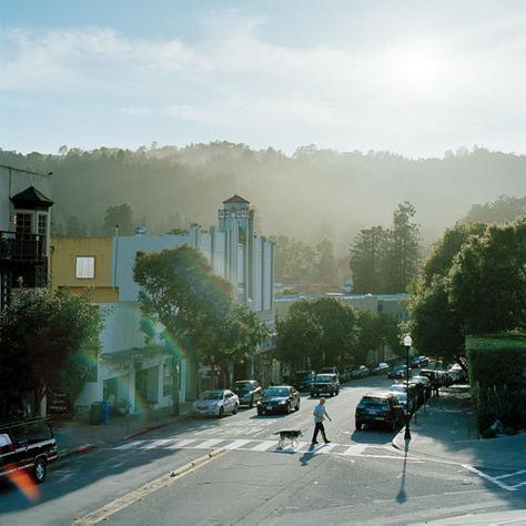 The Sequoia Theatre in Mill Valley, California Mill Valley California, West Coast Travel, California Sunset, Mill Valley, San Fernando Valley, Marin County, Desperate Housewives, Logo Project, Beautiful Sites