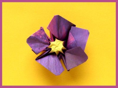 cute origami violet flower Rapunzel Flower Origami, Origami Forget Me Not, Origami Lavender Flower, Origami Orchid Tutorial, Origami Violet Flower, Origami Violet, Scrap Paper Crafts, Cute Origami, Origami Folding