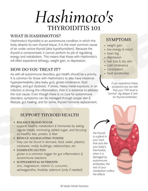 Autoimmune Health (handout bundle) Healing Hormones, Auto Immune Diet, Hashimotos Symptoms, Thyroid Healthy Foods, Auto Immune Disease, Thyroid Healing, Nursing Assessment, Immune Cells, Functional Health