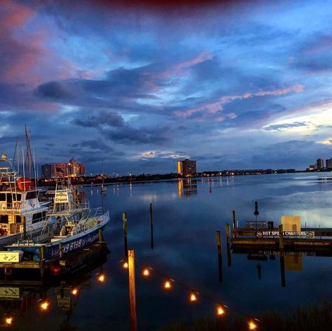 Looking for a restaurant with a view in Pensacola Beach? Enjoy Your Meal With a Beautiful Gulf View at These Beloved Pensacola Restaurants. Pensacola Florida Restaurants, Pensacola Beach Restaurants, Pensacola Restaurants, Pensacola Beach Florida, Beach Dining, Perdido Key, Usa Florida, Waterfront Dining, Enjoy Your Meal