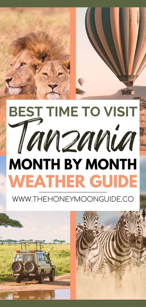 collage of images - lions in the savannah, a hot air balloon over the serengeti, a safari vehicle in the bush and some zebra and overlay text that reads "best time to visit Tanzania month by month weather guide www.thehoneymoonguide.co" Tanzania Honeymoon, Zanzibar Itinerary, Zanzibar Honeymoon, South Africa Vacation, Africa Vacation, Ngorongoro Crater, Tanzania Travel, Stone Town, Tanzania Safari