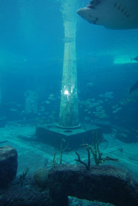 Atlantis The Lost Civilization | new life in the sea: Atlantis: the lost city, or a city lost?: Atlantis The Lost City, Underwater Ruins, Lost Civilizations, Lost City Of Atlantis, Atlantis Bahamas, Sunken City, The Lost City, Underwater City, Mysterious Places