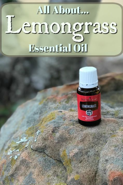 Lemongrass Essential Oil Recipes, Lemongrass Essential Oil Benefits, Lemongrass Essential Oil Uses, Essential Oils For Colds, Aromatherapy Recipes, Young Living Essential Oils Recipes, Lemon Benefits, Oil Diffuser Recipes, Yl Essential Oils