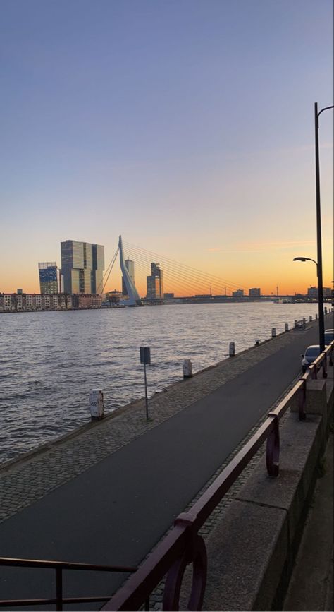 #dutch #netherlands #city #bridge #erasmus #rotterdam Erasmus University Rotterdam, Netherlands City, Sunrise City, Dutch Netherlands, 2025 Goals, Rotterdam Netherlands, Boy Tattoos, Soft Girl, Rotterdam