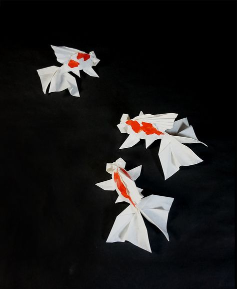 Goldfish ver3(painted) by ob猫 Origami Goldfish, Paper Fish, Creative Origami, Origami Fish, Paper Works, Origami Animals, Fish Sea, Origami Flowers, Beautiful Paper