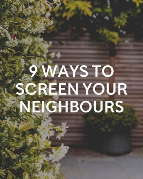 Andy Stedman Design on Instagram: "9 ways to screen your neighbours, over looking windows and ugly views 🌿 #screening #privacy #gardenprivacy #gardenscreening #gardenideas #gardenispiration #gardendesigner #gardenexpert"