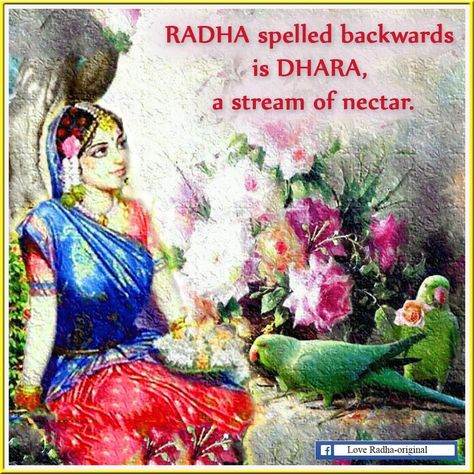 Shivaratri Wishes, Maha Shivaratri Wishes, Divine Quotes, Maha Shivaratri, Hindu Festivals, Radha Rani, Radhe Radhe, Cute Krishna, Krishna