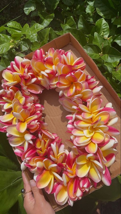 Polynesian Aesthetic, Lei Hawaii, Hawaii Lei, Plumeria Lei, Yellow Plumeria, Hawaiian Flag, Hawaii Aesthetic, Flower Garland Wedding, Plumeria Flowers