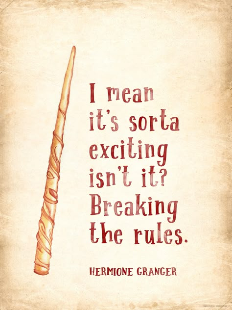 Harry Potter Book Quotes, Harry Potter Quotes Inspirational, Hp Quotes, Breaking The Rules, Harry Potter Book, Potter Head, Potter Quotes, Harry Potter Wallpaper, Harry Potter Things