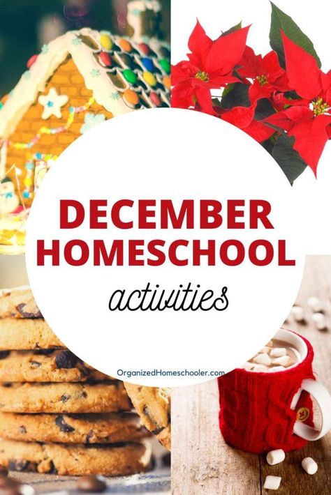 December Enrichment Activities, Month Of December Activities, December Homeschool, Silly Holidays, December Lessons, Homeschool Holidays, National Cookie Day, Christmas Activities For Families, Unit Studies Homeschool