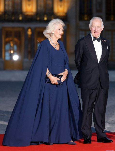 State Dinner, The Palace Of Versailles, Black Tie Attire, Camilla Dress, Royalty Fashion, Reine Elizabeth Ii, Silver Gown, Queen Camilla, Reine Elizabeth