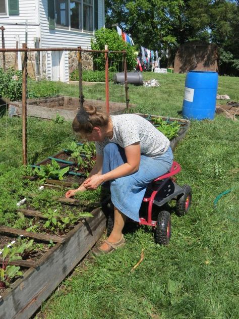 Accessible Gardening, Physical Challenges, Hgtv Garden, French Country Garden, Organic Vegetable Garden, Gardening Techniques, Meteor Garden 2018, Luxury Garden, Home Vegetable Garden