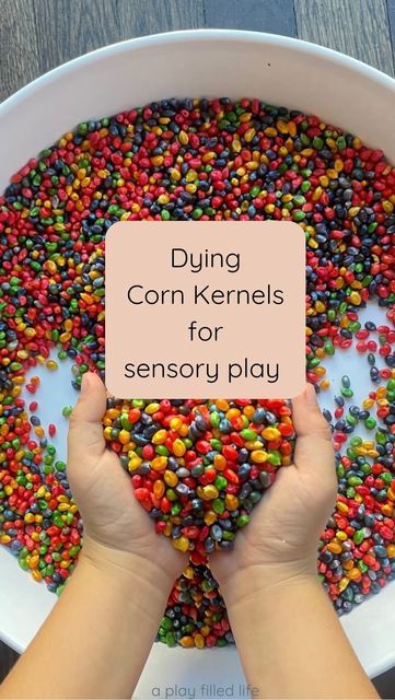 Gina, M.Special Education on Instagram: "Using corn kernels as a sensory base is simple & fun. You can dump the bag in, add in some scoops & bowls or farm animals & play away! You can also dye them! The process is a bit long, but they’ll last for so long once it’s done! Here’s how 👇🏽 1. Add corn kernels to a glass jar or bowl. 2. Squirt in 5-7 drops of food coloring. 3. Fill the jar or bowl with white vinegar until it covers the kernels. 4. Mix well & let the kernels soak for a few hours. I left mine in overnight! 5. Pour the kernels and color mixture into a strainer in the sink. I then rinse them thoroughly. 6. Lay them out on a paper towel-lined baking sheet and let them dry completely. 7. Play! These will last you years if stored in an airtight container! Corn kernels are a choki How To Dye Corn Kernels, Fill The Jar, Kettle Corn, Corn Kernel, Airtight Containers, The Jar, Sensory Bins, White Vinegar, I Left