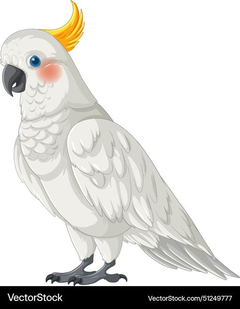 White Cockatoo Bird, Cockatoo Illustration, Moluccan Cockatoo Drawing, Goffin Cockatoo, Cockatoo Art Print, Parrot Cartoon, White Cockatoo, Feather Graphic, Yellow Animals