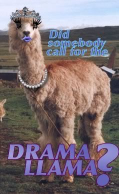 This gal hangs out at Facebook all ... the ... time. #funny #humor #dramallama #drama #llama #lama #dramalama Mentally Disturbed, Boat Icon, No More Drama, Mama Llama, Drama Llama, Funny Llama, Funny Random, Llama Drama, Uh Oh